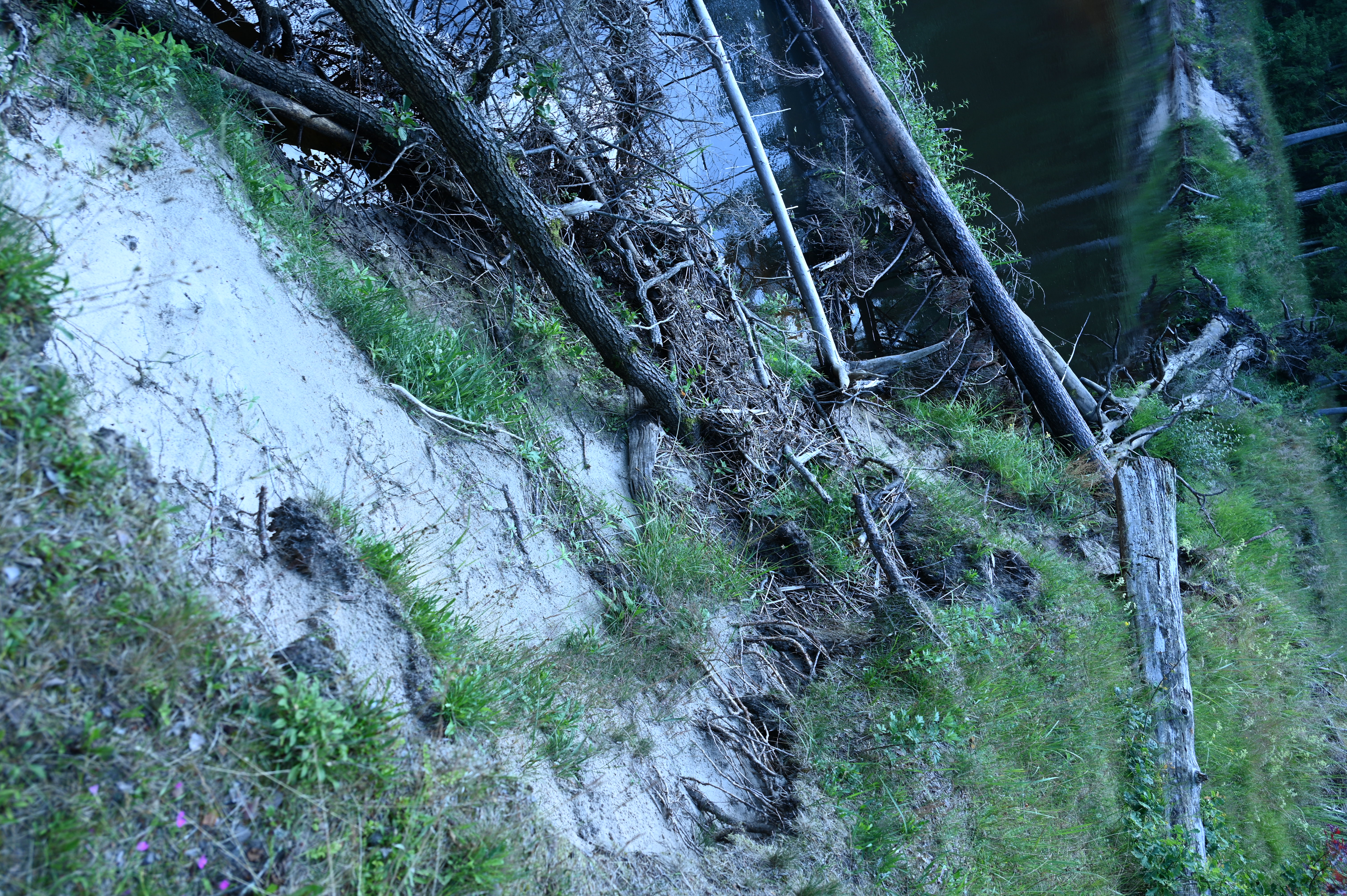 2025/07/09-14 - trip/DSC_0264.JPG